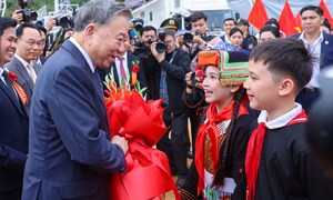 Chính sách xã hội hướng tới phát triển bền vững trong kỷ nguyên mới
