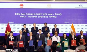 Tổng Bí thư, Chủ tịch nước Tô Lâm dự Diễn đàn doanh nghiệp Việt Nam-Ấn Độ 