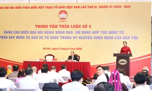 Nâng tầm đối ngoại nhân dân thành trụ cột ngoại giao toàn diện, hiện đại