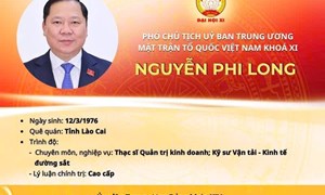 INFOGRAPHIC: Phó Chủ tịch Ủy ban Trung ương MTTQ Việt Nam khóa XI Nguyễn Phi Long