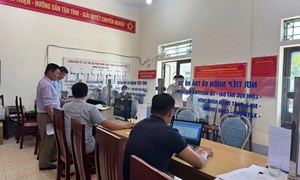 Hướng dẫn số 02-HD/BTCTW đánh giá cán bộ hằng quý với lãnh đạo, quản lý các cấp trong hệ thống chính trị