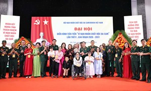Chủ tịch Bùi Thị Minh Hoài dự Đại hội Điển hình tiên tiến “Vì nạn nhân chất độc da cam”
