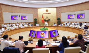 Nguyên tắc làm việc, trách nhiệm, cách thức giải quyết công việc của Chính phủ