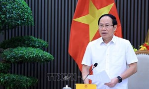 Rà soát tổng thể kết quả Kỳ thi tốt nghiệp THPT năm 2026 của các địa phương trên cả nước