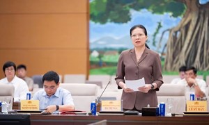 Phó Chủ tịch - Tổng Thư ký Hà Thị Nga: Người dân rất quan tâm tới việc điều chỉnh lương hưu, trợ cấp xã hội