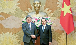 Làm sâu sắc, thực chất hơn quan hệ Đối tác chiến lược toàn diện Việt Nam - Nhật Bản