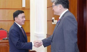 Thường trực Ban Bí thư Trần Cẩm Tú tiếp Quyền Tổng Thư ký Đảng Dân chủ Tự do Nhật Bản Hagiuda Koichi