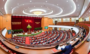 Quy định số 207-QĐ/TW về những điều đảng viên không được làm