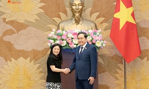 Việt Nam - Hoa Kỳ: Thúc đẩy đà hợp tác kinh tế làm trọng tâm, động lực cho quan hệ song phương