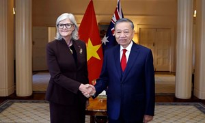 Tổng Bí thư, Chủ tịch nước Tô Lâm hội kiến Toàn quyền Australia 