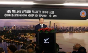 Tổng Bí thư, Chủ tịch nước Tô Lâm dự Hội nghị bàn tròn doanh nghiệp New Zealand - Việt Nam