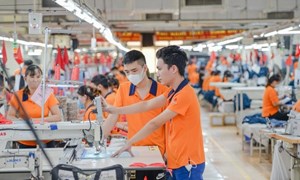 Chỉ thị số 12-CT/TW về đổi mới, nâng cao chất lượng công tác xây dựng Đảng trong khu vực kinh tế tư nhân