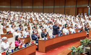Tổng Bí thư, Chủ tịch nước Tô Lâm dự, chỉ đạo Hội nghị toàn quốc nghiên cứu, học tập, quán triệt và triển khai một số Nghị quyết, Chỉ thị của Bộ Chính trị