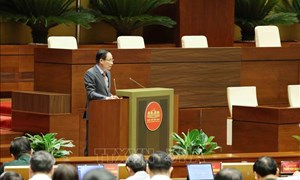 Nghị quyết số 23-NQ/TW: Bước phát triển rõ nét về nhận thức và tư duy của Đảng đối với công tác người Việt Nam ở nước ngoài 