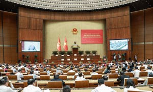Tổng Bí thư, Chủ tịch nước Tô Lâm: Giá trị của văn kiện phải thể hiện ở khả năng giải quyết thực tiễn 