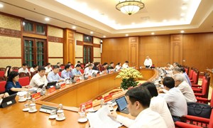 Quy định mới về chế độ báo cáo Bộ Chính trị, Ban Bí thư, lãnh đạo chủ chốt