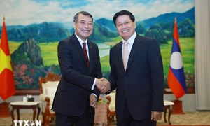 Thủ tướng Lê Minh Hưng hội kiến Tổng Bí thư, Chủ tịch nước Lào Thongloun Sisoulith 