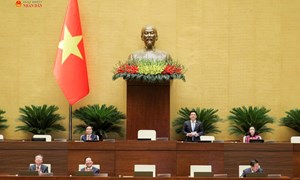 Siết trách nhiệm chủ đầu tư, bảo vệ quyền lợi người mua bất động sản