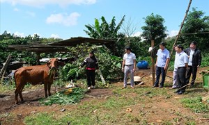 Chính sách hỗ trợ thiết thực tạo “bệ đỡ ” vững chắc cho hành trình giảm nghèo ở Lâm Đồng