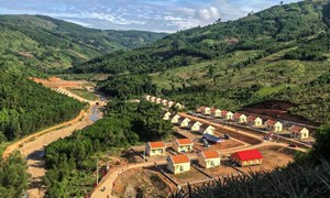 Khánh Hòa: Cải thiện sinh kế, giảm nghèo bền vững cho “vùng khó”