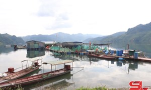 Sơn La: Chiềng Lao nỗ lực giảm nghèo bền vững