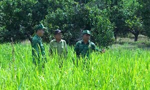 Gia Lai: Già làng Ksor Bơng: "Biên giới có yên thì làng mới yên"