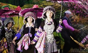 Lào Cai: Giữ sắc chàm của người Mông