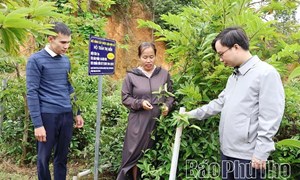 Phú Thọ: Thái Hòa nỗ lực giảm nghèo, nâng cao thu nhập cho người dân