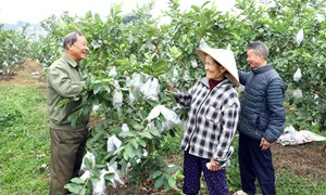 Bắc Ninh: Nối dài nhịp cầu đoàn kết