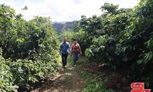 Sơn La: Đổi thay xã biên giới Phiêng Pằn