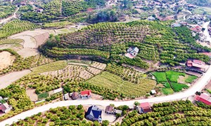 Bắc Ninh: Khơi nguồn lực phát triển vùng dân tộc thiểu số và miền núi