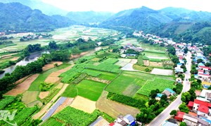 Thái Nguyên: Tạo sinh kế bền vững ở vùng khó khăn