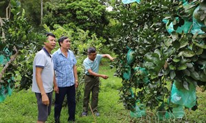 Điện Biên: Xã Thanh Nưa phấn đấu đạt chuẩn nông thôn mới