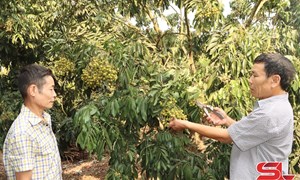 Sơn La: Người giữ lửa niềm tin ở bản làng vùng cao