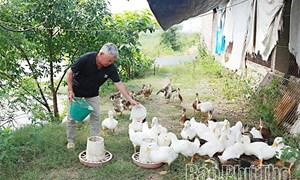 Phú Thọ: Sáng danh “Bộ đội Cụ Hồ” thời bình