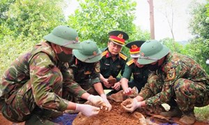 Lạng Sơn đẩy mạnh “Chiến dịch 500 ngày đêm” tìm kiếm, quy tập và xác định danh tính hài cốt liệt sĩ