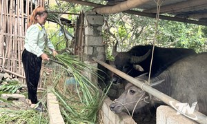 Thái Nguyên: Chương trình mục tiêu quốc gia: Tạo động lực để người dân thay đổi tư duy