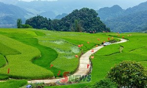 Sơn La: Phát huy vai trò của MTTQ trong xây dựng đời sống văn hóa khu dân cư