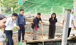 Phú Thọ: Để chính sách đến đúng địa bàn