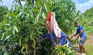 Đổi thay từ một vùng cao nghèo khó
