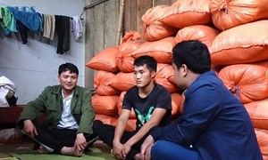 Thanh Hóa: Giải pháp giảm thiểu tảo hôn, hôn nhân cận huyết