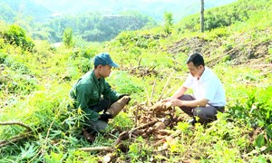 Lai Châu: Nông thôn khởi sắc từ các chính sách “tiếp sức”