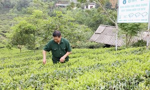 Phú Thọ: Lan tỏa phong trào thi đua yêu nước