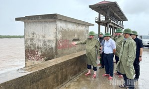 Ninh Bình: Đồng chí Phó Bí thư Tỉnh uỷ, Chủ tịch Uỷ ban MTTQ Việt Nam tỉnh kiểm tra, chỉ đạo khắc phục hậu quả bão số 10