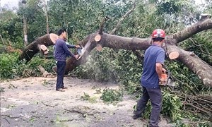 Quảng Ninh: Ủy ban MTTQ Việt Nam tỉnh kịp thời hỗ trợ các tỉnh miền Trung và người dân trong tỉnh khắc phục hậu quả bão số 10 