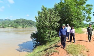 Tuyên Quang: Phó Bí thư Tỉnh ủy, Chủ tịch Ủy ban MTTQ tỉnh Ma Thế Hồng kiểm tra công tác quản lý đê điều