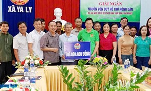 Quảng Ngãi: “Đòn bẩy” giúp nông dân phát triển kinh tế