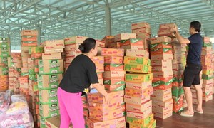 Đồng Nai: Ủy ban MTTQ Việt Nam tỉnh tiếp nhận gần 18 tỷ đồng hỗ trợ đồng bào bị thiệt hại do bão số 10