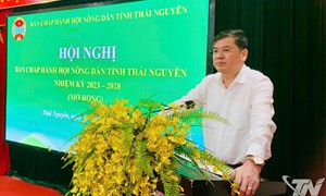 Thái Nguyên: Nòng cốt trong các phong trào thi đua và xây dựng nông thôn mới