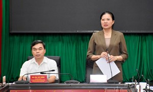 Phó Chủ tịch Hà Thị Nga: Mặt trận các cấp đã thể hiện tinh thần trách nhiệm, bám sát thực tiễn, vì lợi ích của nhân dân